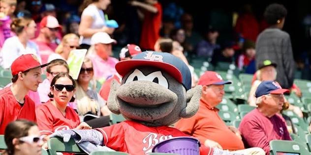 The Ultimate Baseball Buddy for Young Players